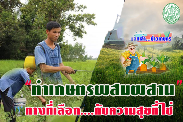 “ทำเกษตรผสมผสาน” ทางที่เลือก….กับความสุขที่ใช่