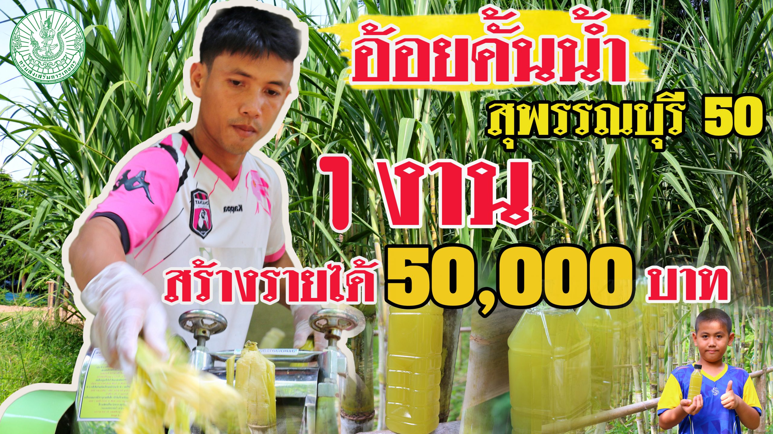 อ้อยคั้นน้ำ (สุพรรณบุรี 50) 1 งาน สร้างรายได้กว่า 50,000 บาท