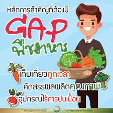 การปฏิบัติทางการเกษตรที่ดีสำหรับพืชอาหาร (GAP พืชอาหาร)