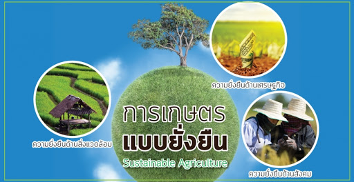 ระบบการเกษตรแบบยั่งยืนที่สอดคล้องตามแนวนโยบายของกระทรวงเกษตรและสหกรณ์